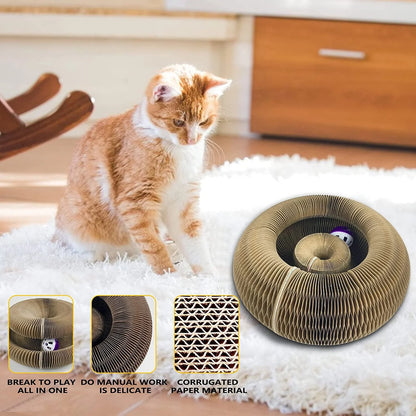 Interactive Cat Scratch Organ Board - Engaging Toy with Ball, Claw Grinding Surface, and Climbing Frame for Kittens