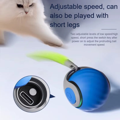 Interactive Automatic Rolling Cat Toy with Faux Tail - USB Rechargeable Smart Electric Teaser and Training Ball
